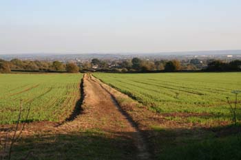 A view across some fields.